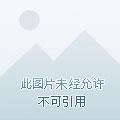 末世重生女配翻身