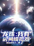 龙珠:我有时间模拟器