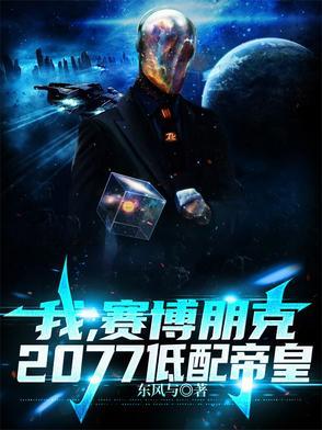 我,赛博朋克2077低配帝皇