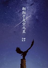 [塞尔达传说]翱翔于夜空之星