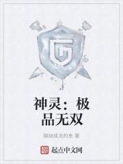神灵:极品无双