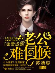 染爱成婚:老公,难伺候